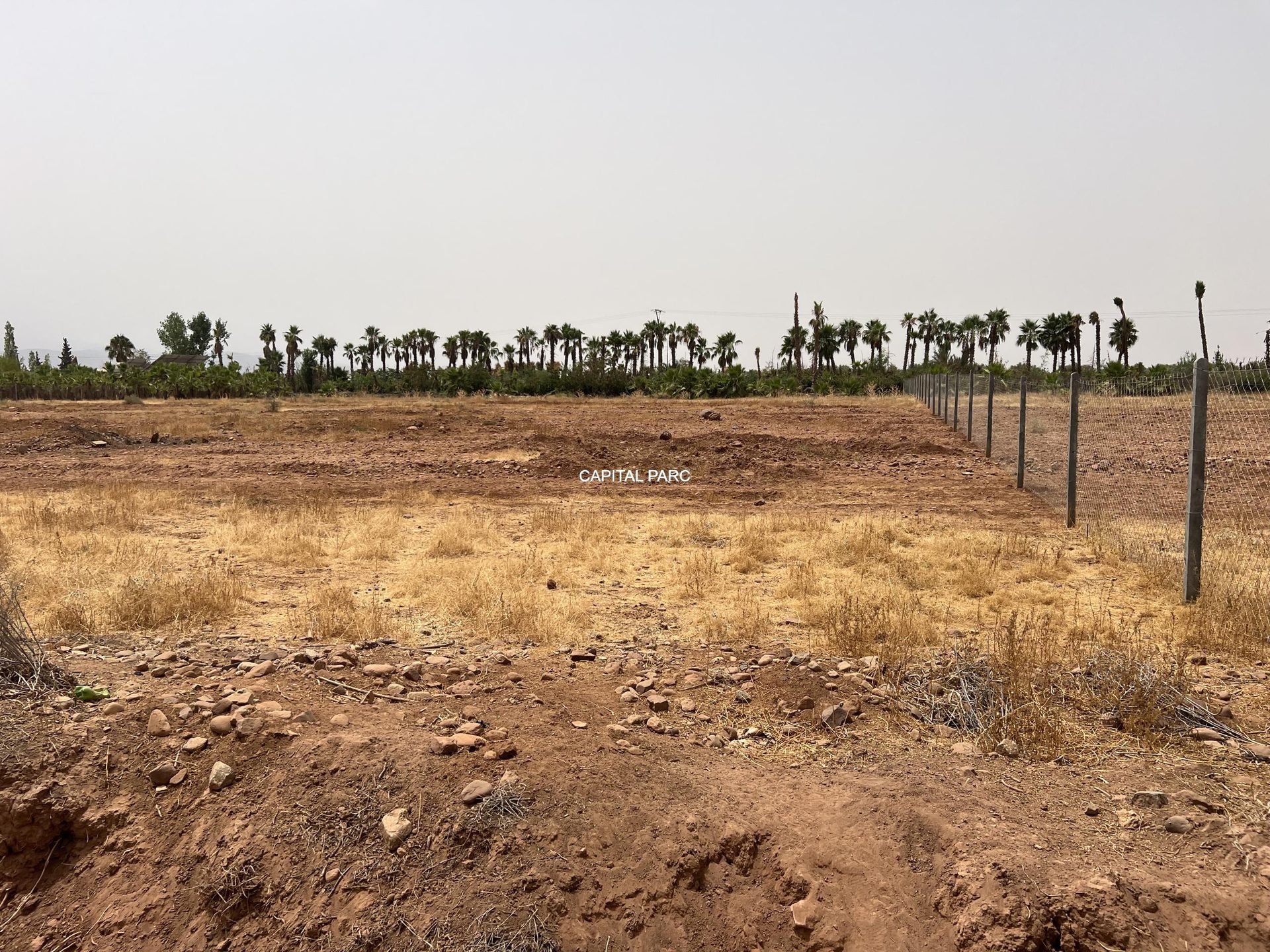 Terrain constructible 1,3 ha à vendre, Route Ourika, Marrakech — miniature 3