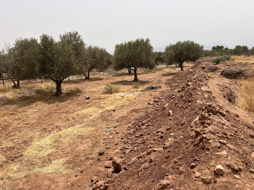 Terrain constructible 1,3 ha à vendre, Route Ourika, Marrakech — photo 8