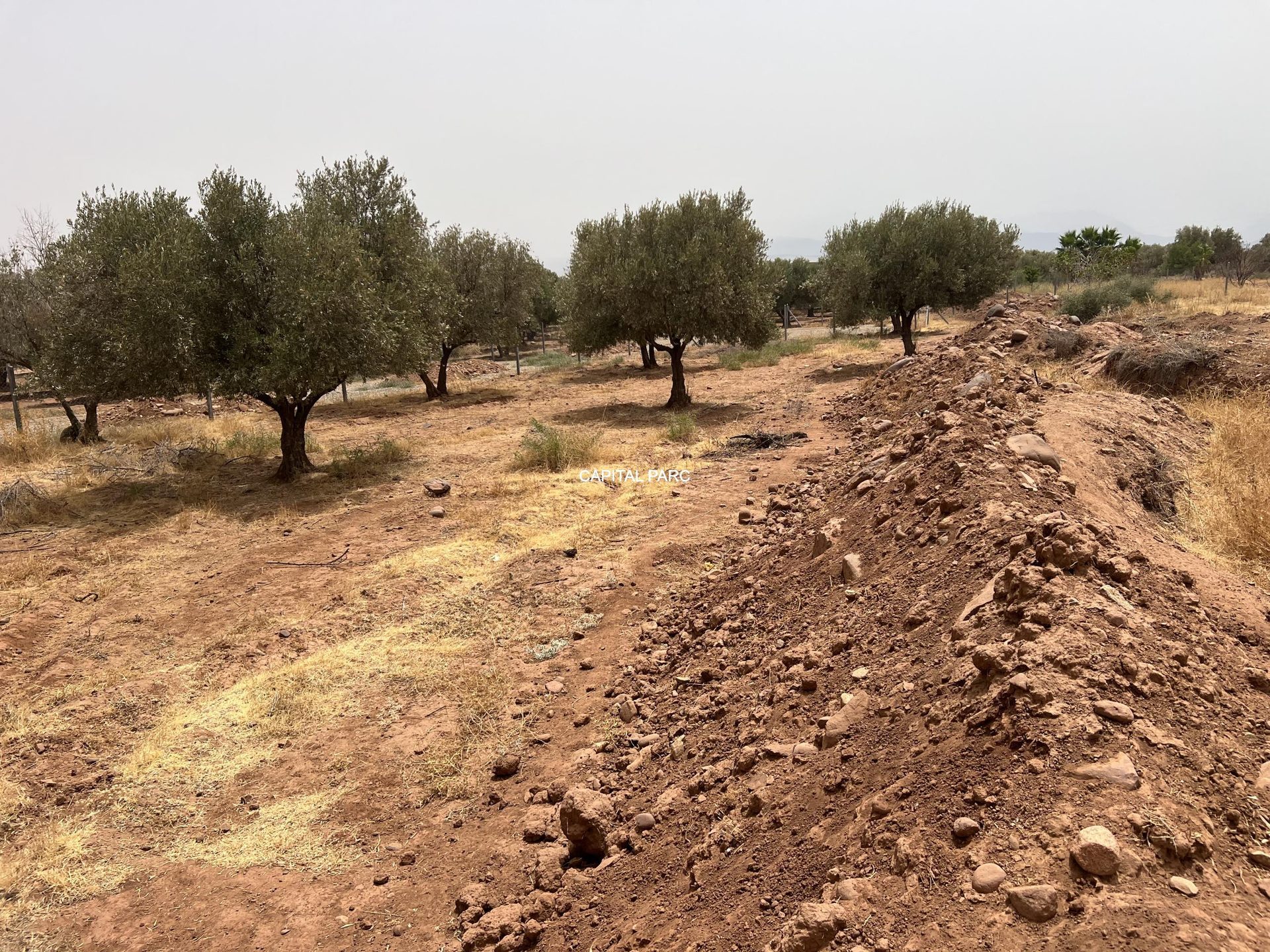 Terrain constructible 1,3 ha à vendre, Route Ourika, Marrakech — miniature 8
