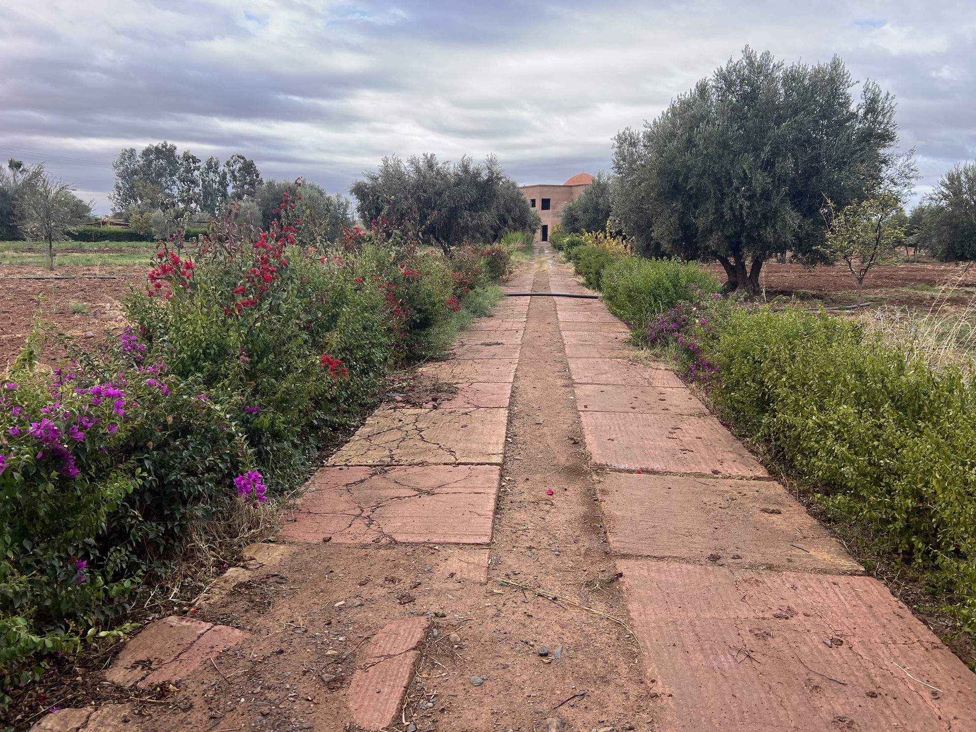 Terrain constructible 5,5 ha à vendre, Route Ourika, Marrakech — miniature 2