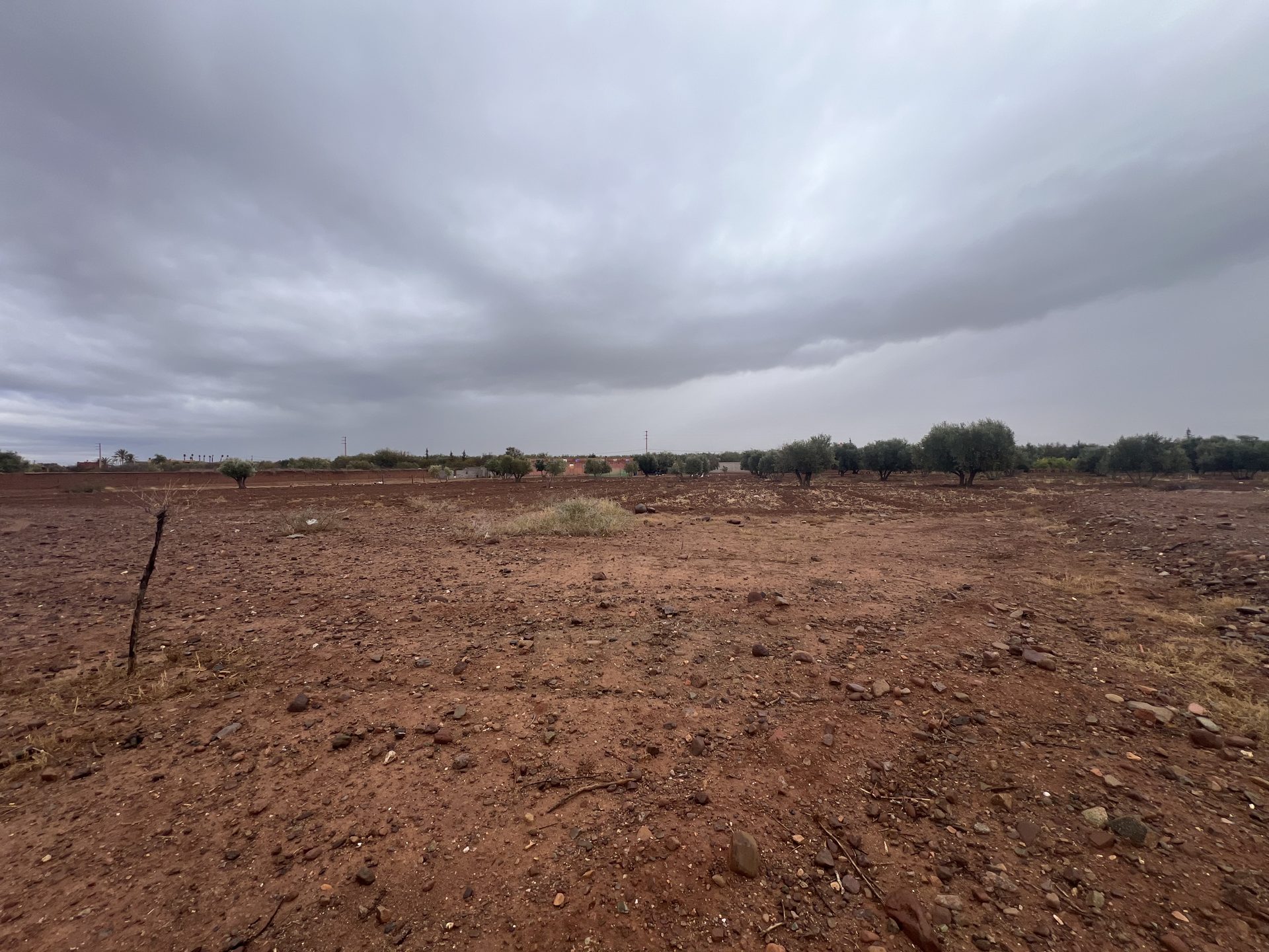 Terrain constructible 5,5 ha à vendre, Route Ourika, Marrakech — miniature 11
