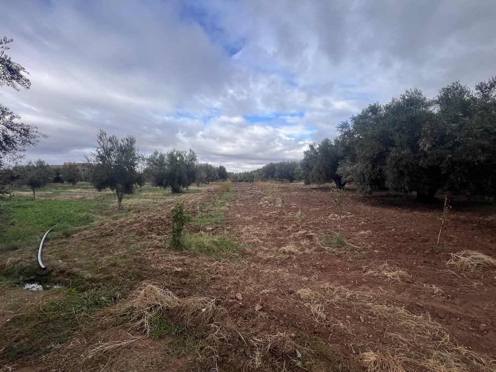Terrain constructible 5,5 ha à vendre, Route Ourika, Marrakech — photo 12