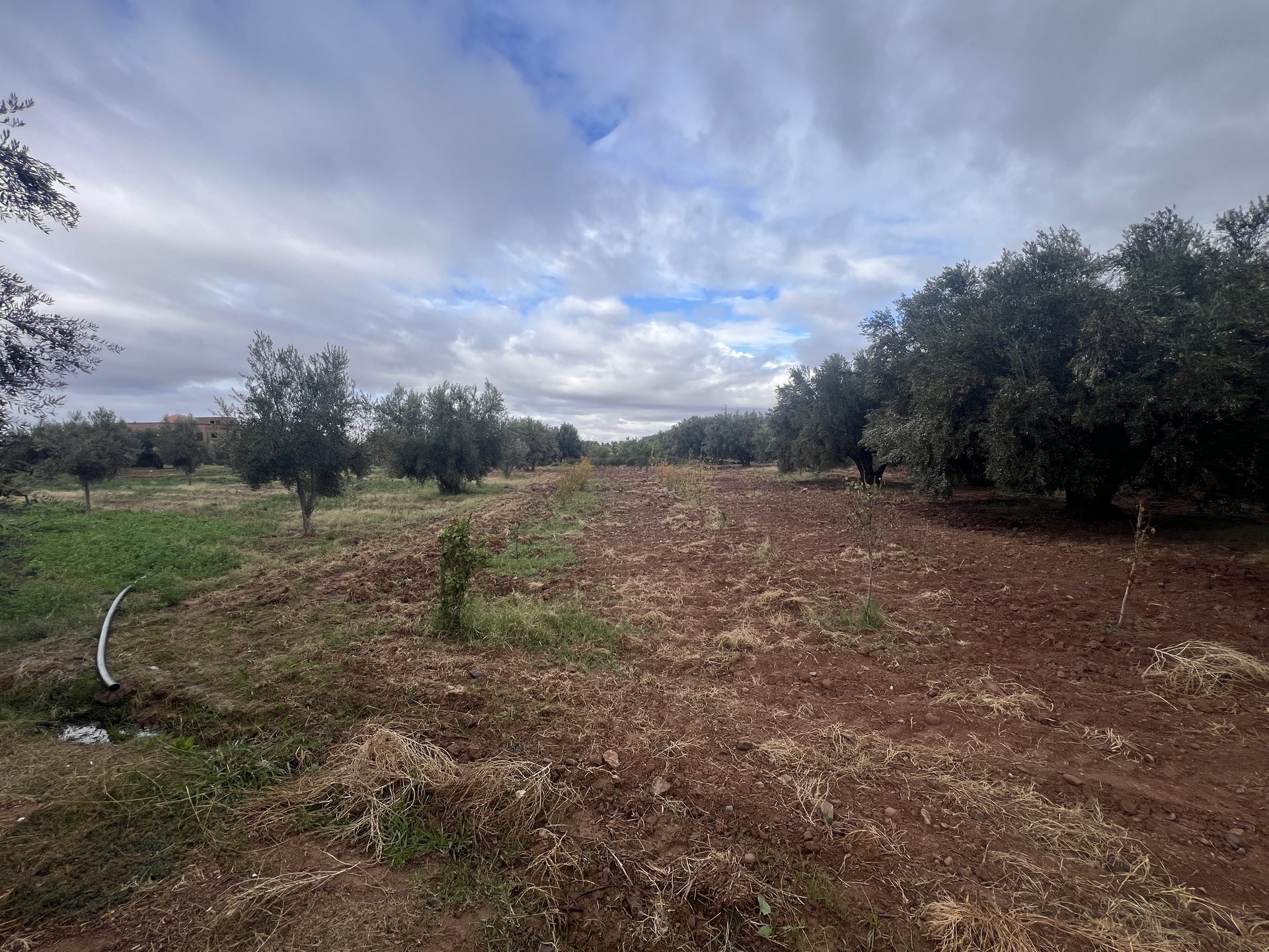 Terrain constructible 5,5 ha à vendre, Route Ourika, Marrakech — miniature 12