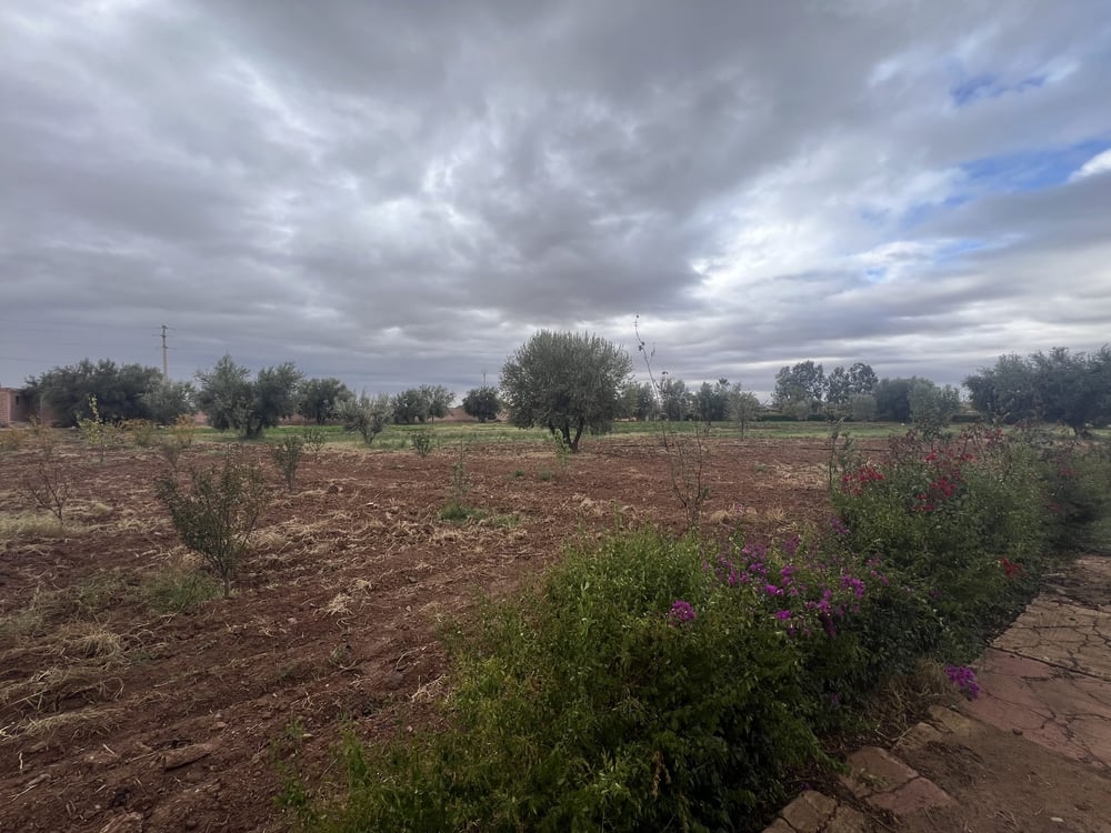Terrain constructible 5,5 ha à vendre, Route Ourika, Marrakech — photo 3