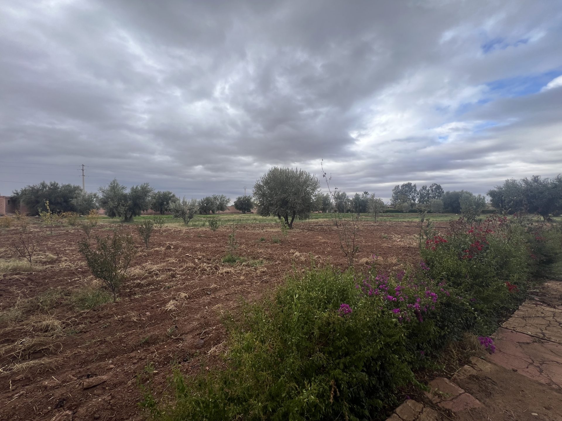 Terrain constructible 5,5 ha à vendre, Route Ourika, Marrakech — miniature 3