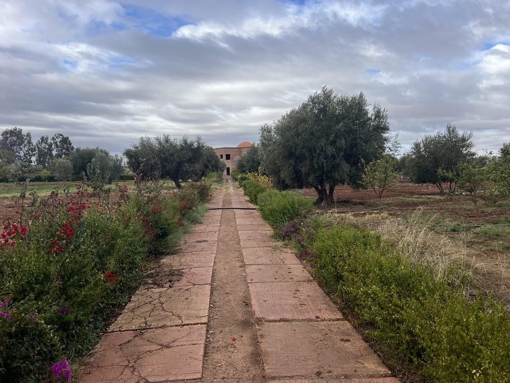 Terrain constructible 5,5 ha à vendre, Route Ourika, Marrakech — photo 4