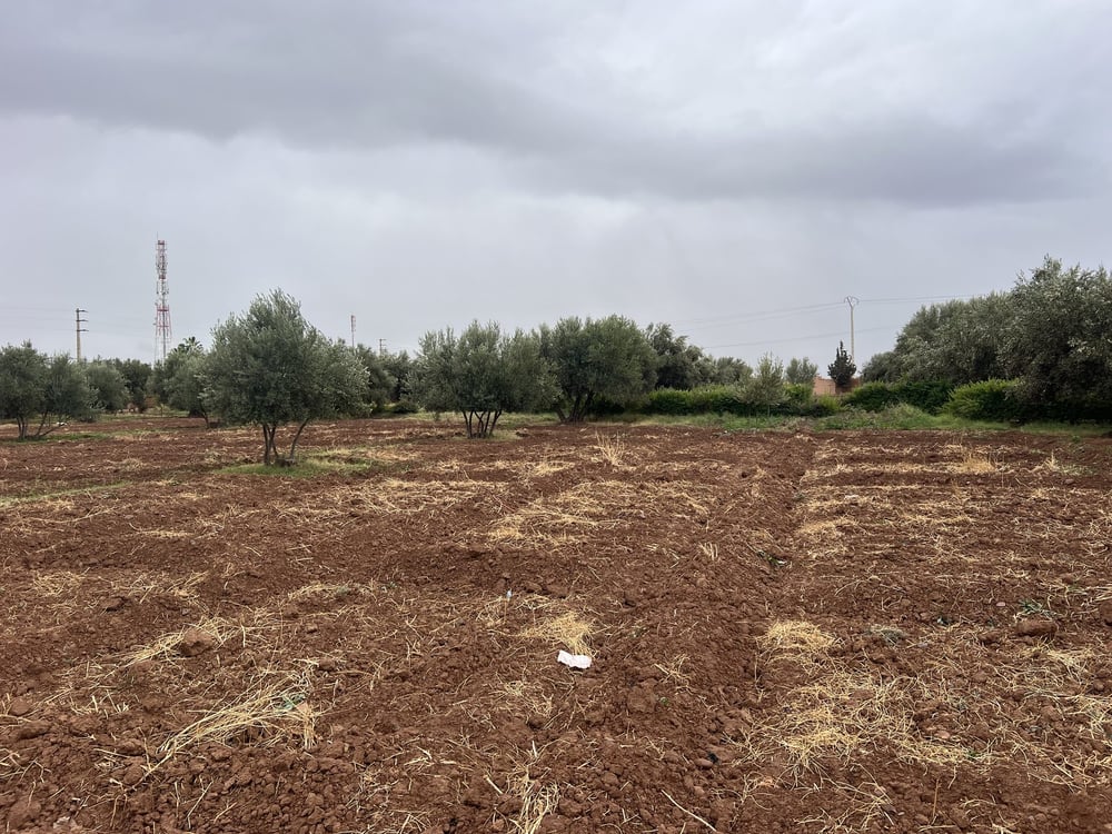 Terrain constructible 5,5 ha à vendre, Route Ourika, Marrakech — photo 7