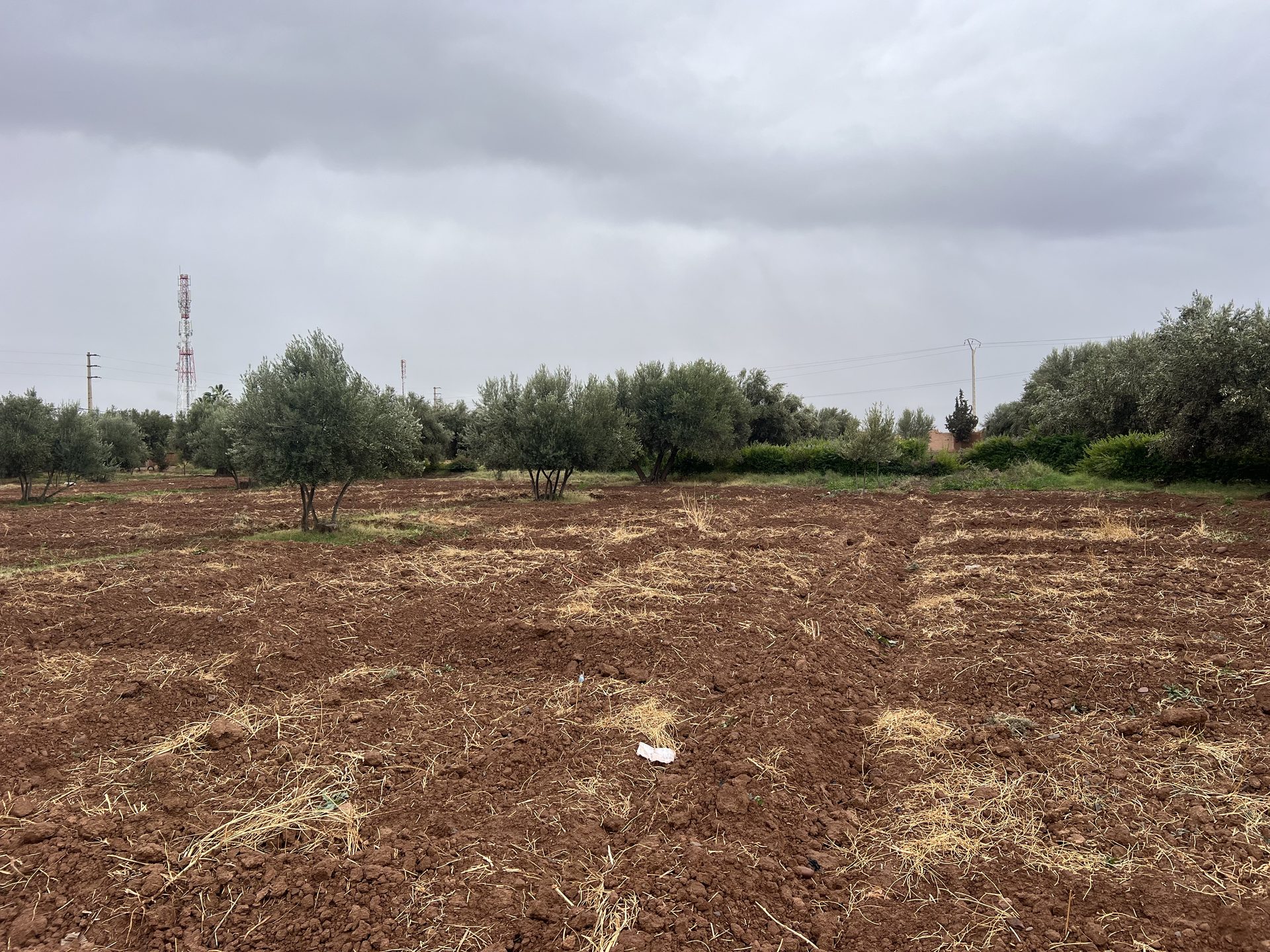 Terrain constructible 5,5 ha à vendre, Route Ourika, Marrakech — miniature 7