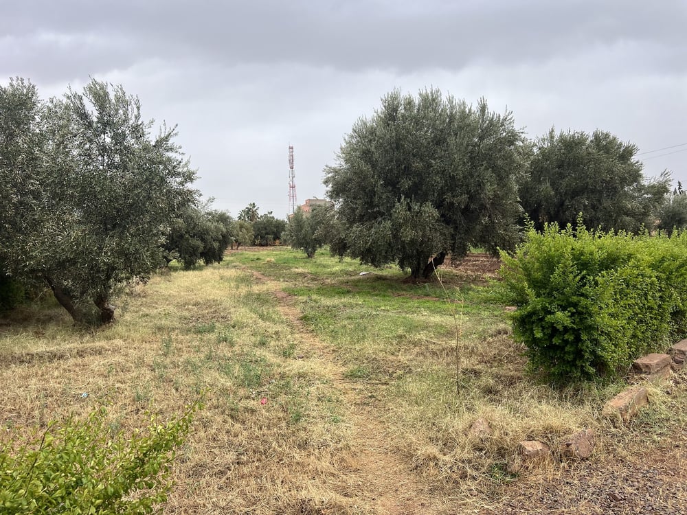 Terrain constructible 5,5 ha à vendre, Route Ourika, Marrakech — photo 8
