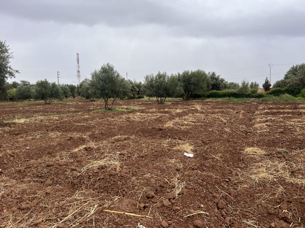 Terrain constructible 5,5 ha à vendre, Route Ourika, Marrakech — photo 9