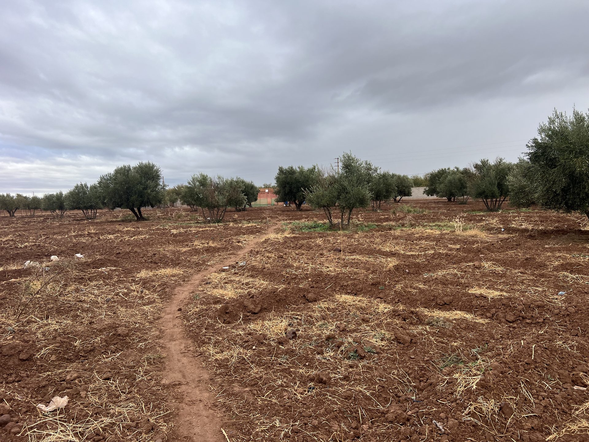 Terrain constructible 5,5 ha à vendre, Route Ourika, Marrakech — miniature 10