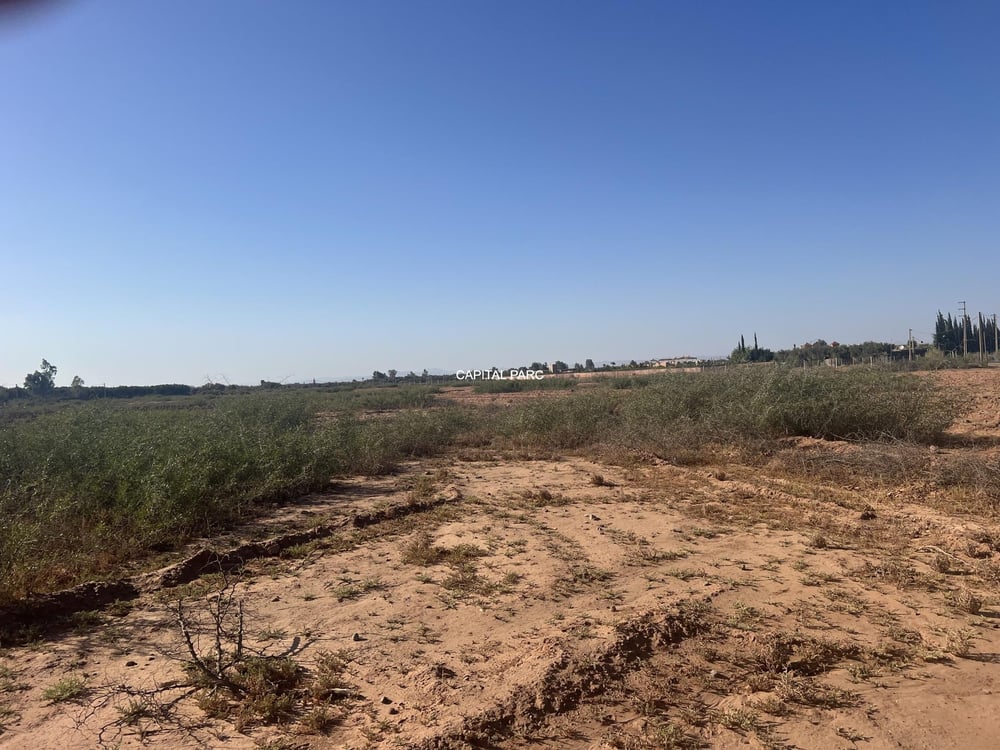 Terrain Melkia 2 ha à vendre – Sidi Abdallah Ghiat, Marrakech — photo 2