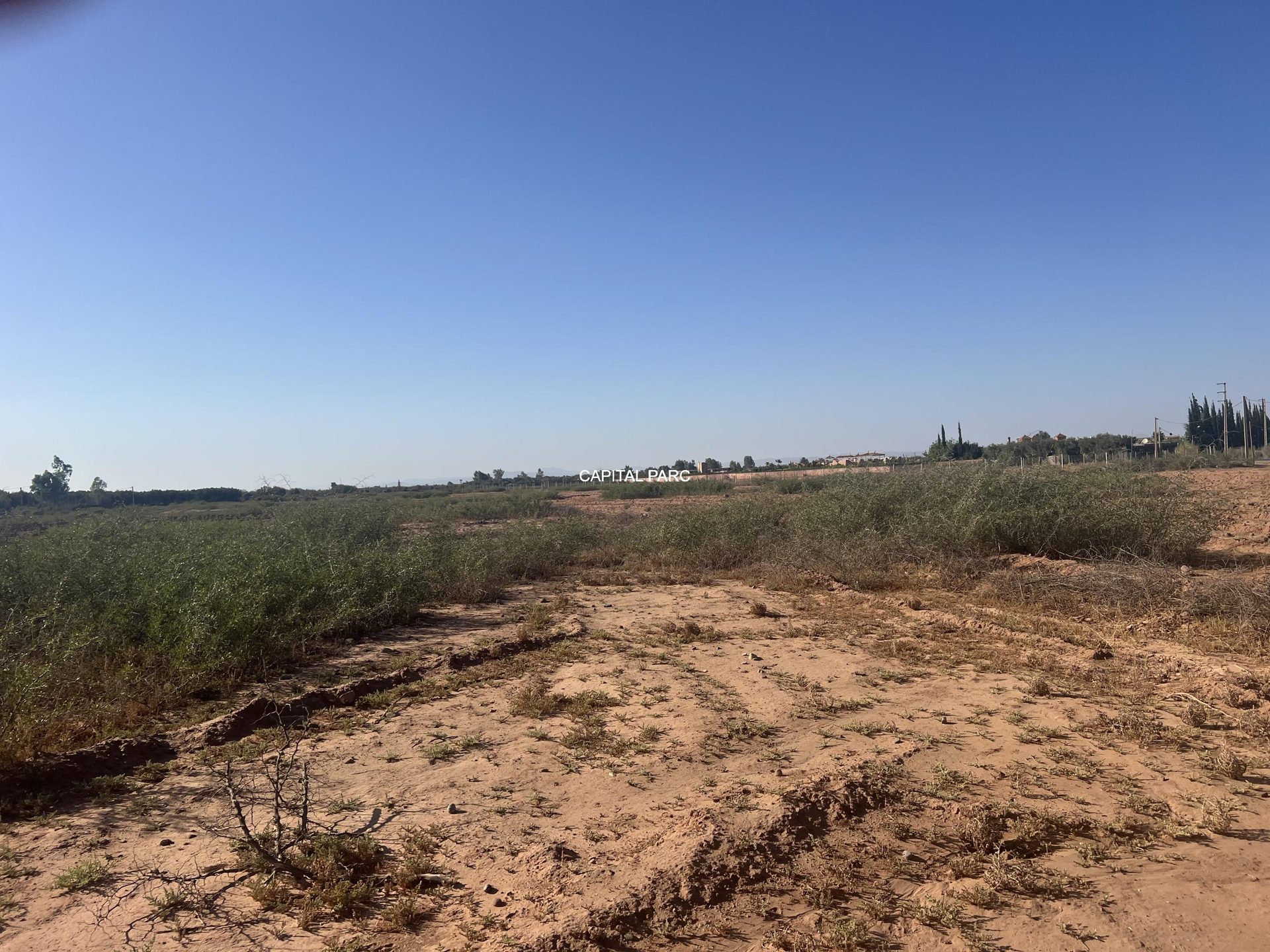 Terrain Melkia 2 ha à vendre – Sidi Abdallah Ghiat, Marrakech — miniature 2