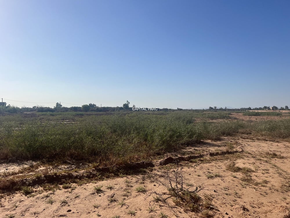 Terrain Melkia 2 ha à vendre – Sidi Abdallah Ghiat, Marrakech — photo 4