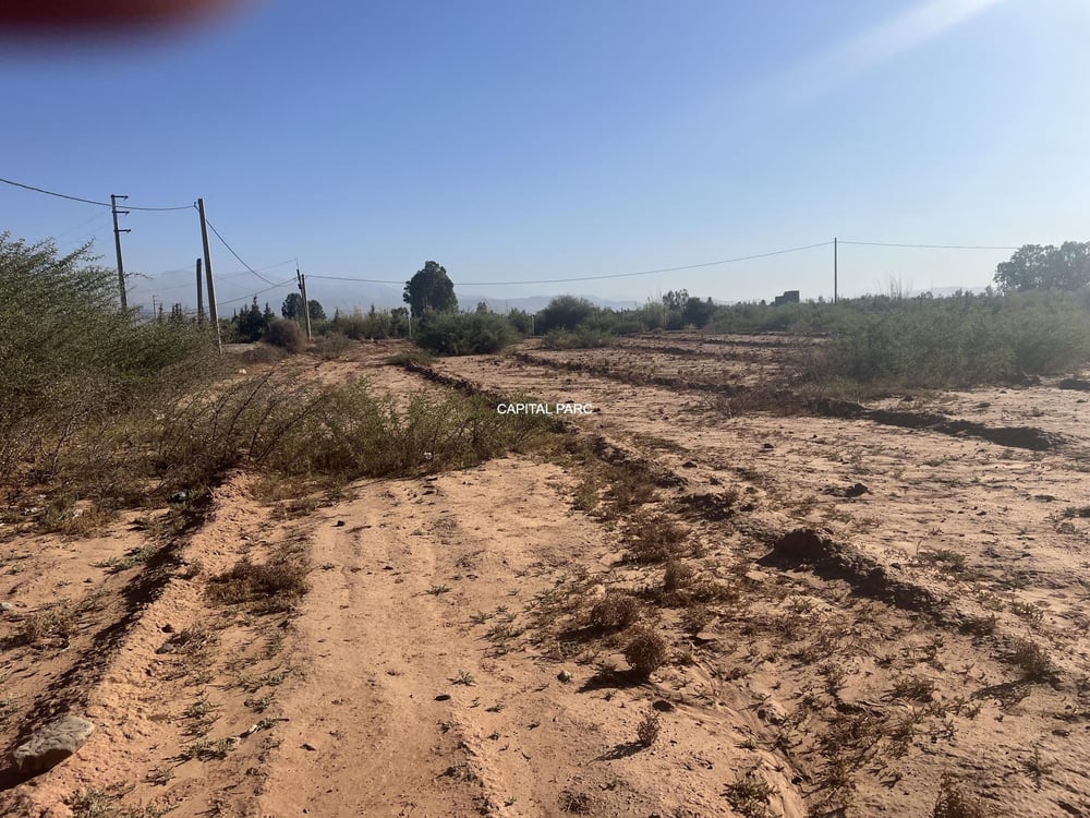 Terrain Melkia 2 ha à vendre – Sidi Abdallah Ghiat, Marrakech — photo 5