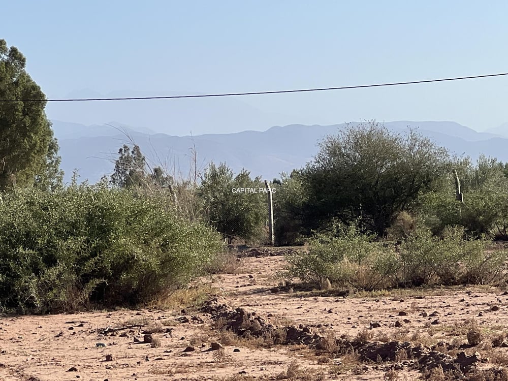 Terrain Melkia 2 ha à vendre – Sidi Abdallah Ghiat, Marrakech — photo 6
