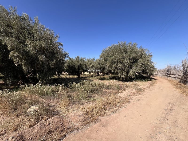 Terrain melkia 3000 m² à vendre, Rte de Fès, Marrakech — Terrain, Marrakech