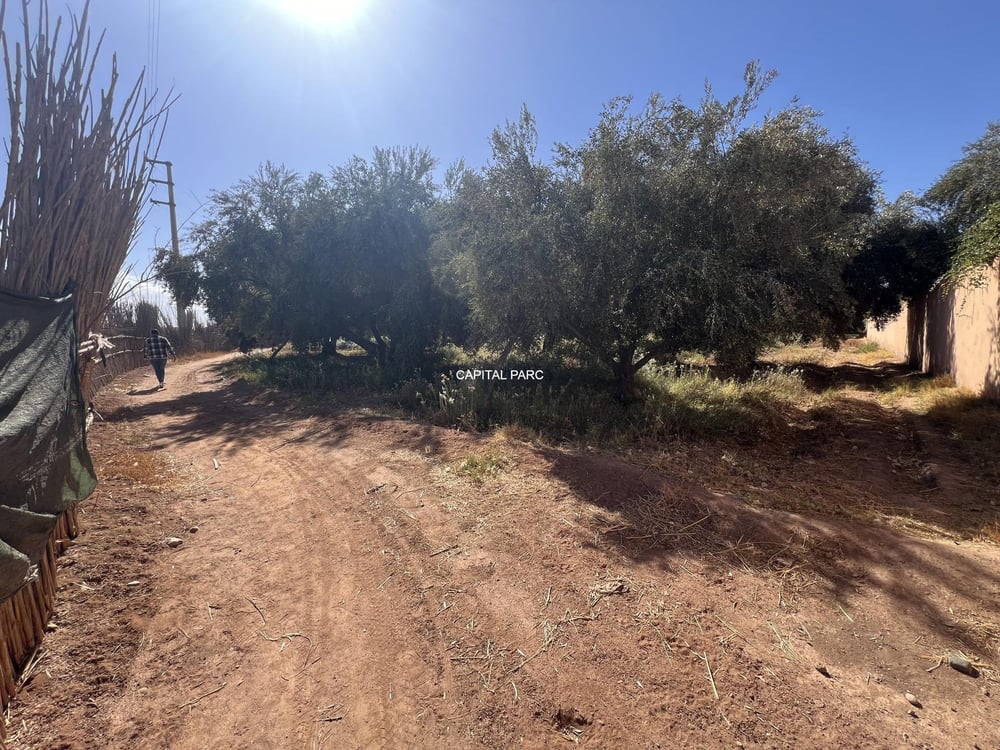 Terrain melkia 3000 m² à vendre, Rte de Fès, Marrakech — photo 2