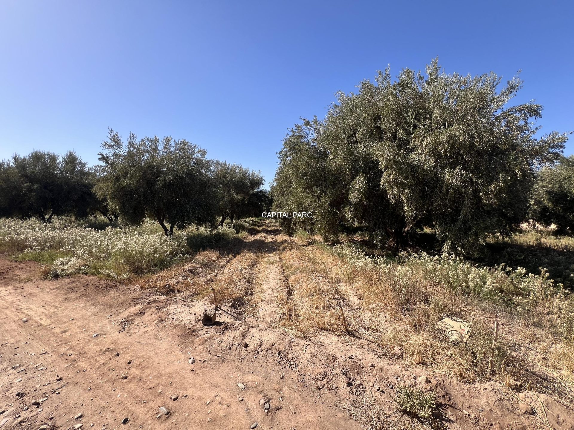 Terrain melkia 3000 m² à vendre, Rte de Fès, Marrakech — miniature 4