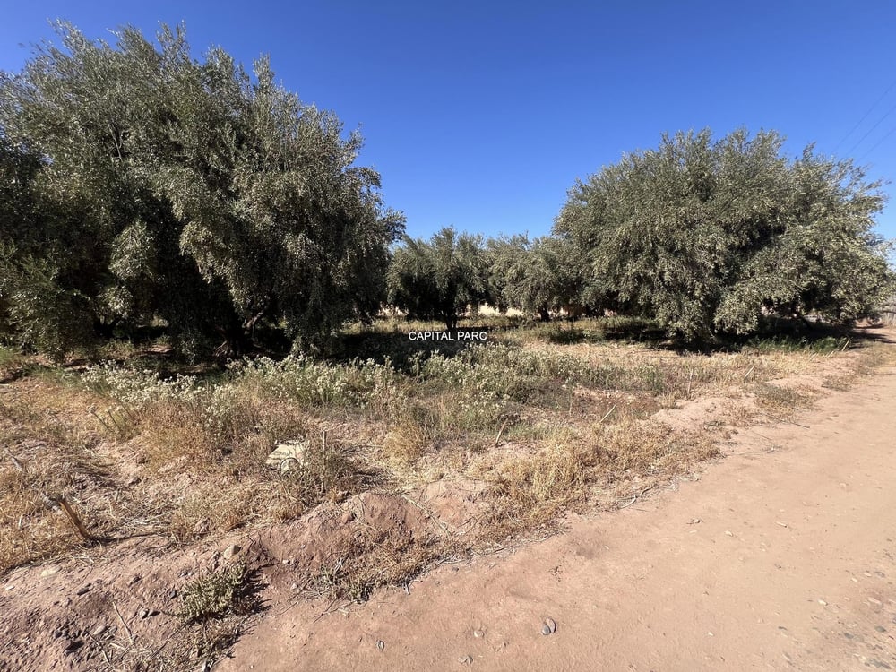 Terrain melkia 3000 m² à vendre, Rte de Fès, Marrakech — photo 5