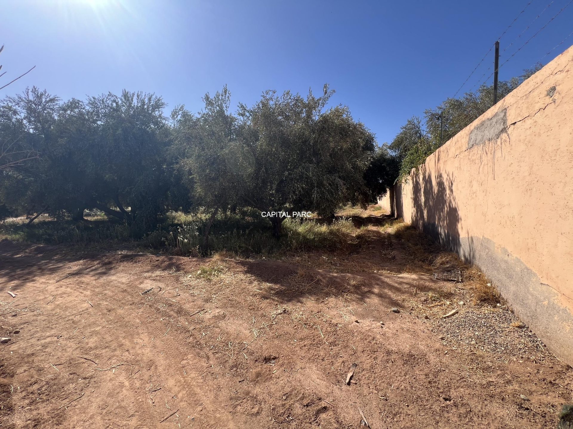 Terrain melkia 3000 m² à vendre, Rte de Fès, Marrakech — miniature 6