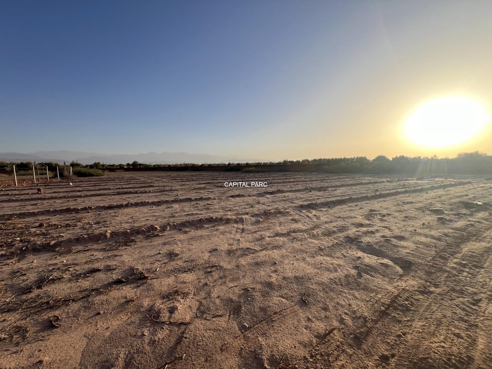 Terrain Melkia 2000 m² à vendre, Sidi Abdellah Ghiate, Marrakech — photo 2