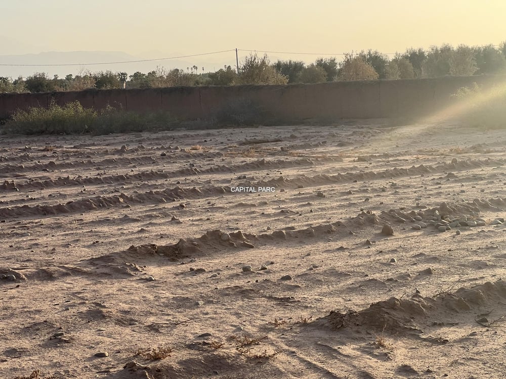 Terrain Melkia 2000 m² à vendre, Sidi Abdellah Ghiate, Marrakech — photo 3