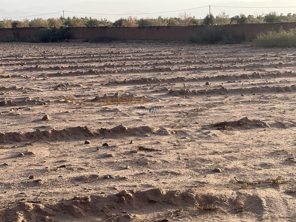 Terrain Melkia 2000 m² à vendre, Sidi Abdellah Ghiate, Marrakech — photo 4