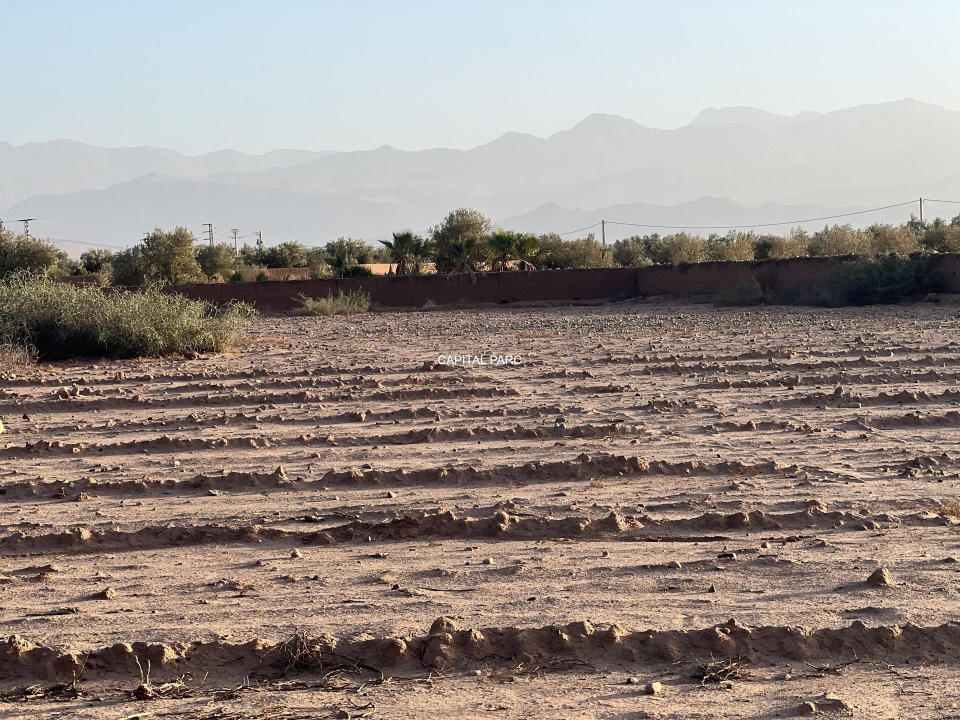 Terrain Melkia 2000 m² à vendre, Sidi Abdellah Ghiate, Marrakech — miniature 5