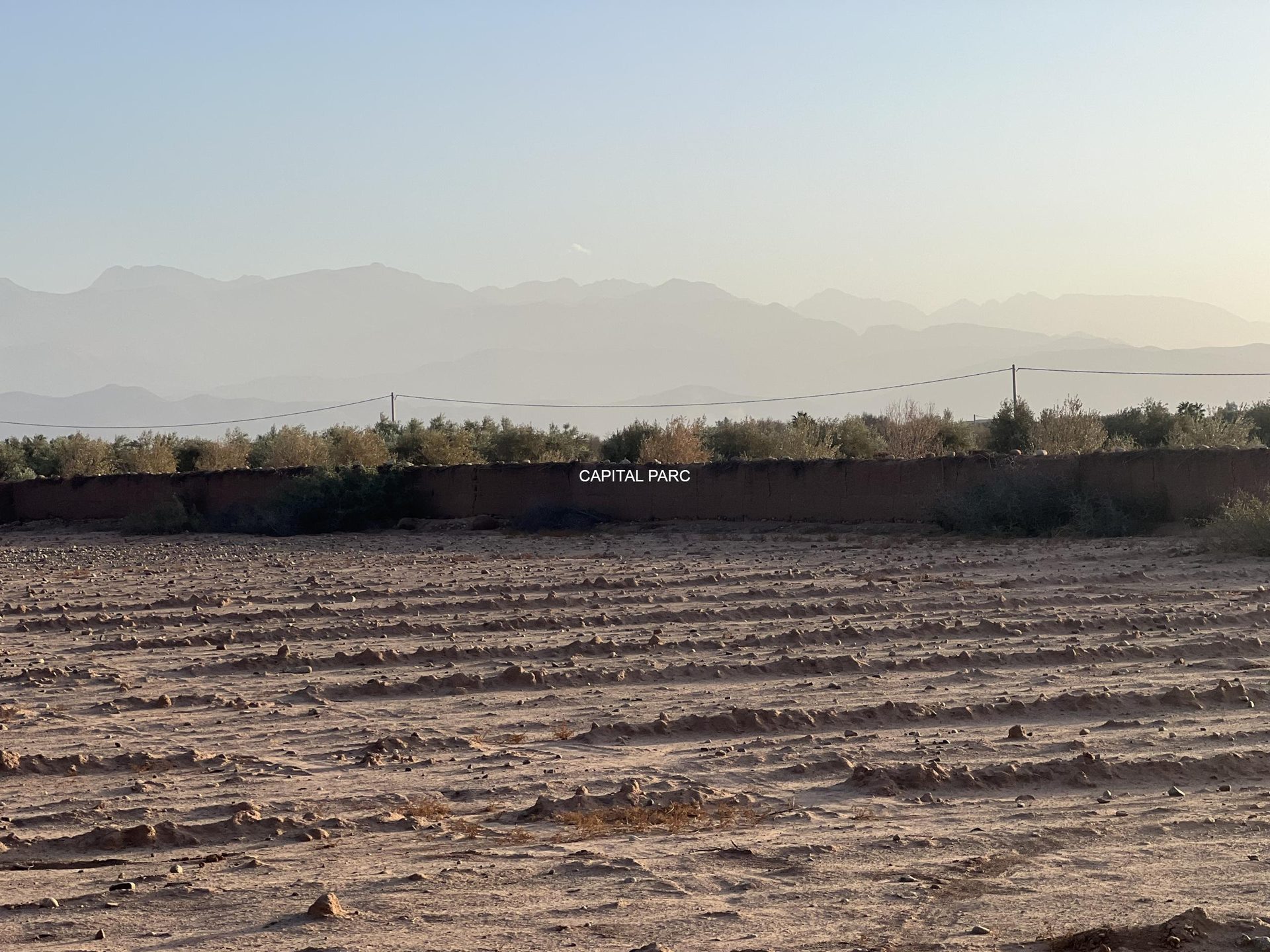 Terrain Melkia 2000 m² à vendre, Sidi Abdellah Ghiate, Marrakech — miniature 6