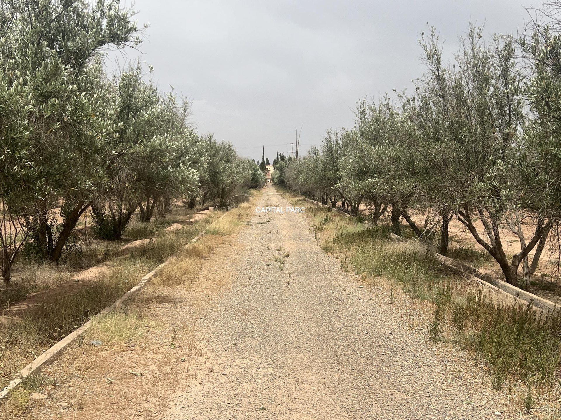Terrain constructible 5 ha à vendre, Route de Fès, Marrakech — miniature 3