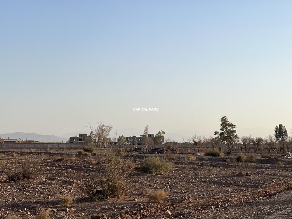 Terrain SD1 4,5 ha à vendre, route Ourika Marrakech — photo 4