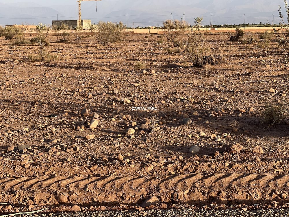 Terrain SD1 4,5 ha à vendre, route Ourika Marrakech — photo 5
