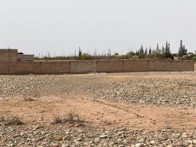 For Sale: Titled Land 3000 sqm — Terrain, Sidi Abdellah Ghiat