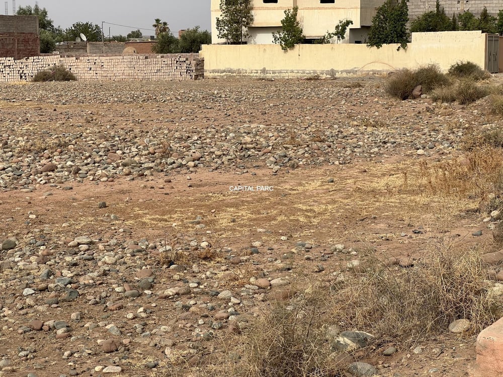 Terrain constructible 3 000 m² à vendre, Sidi Abdellah Ghiat — photo 2