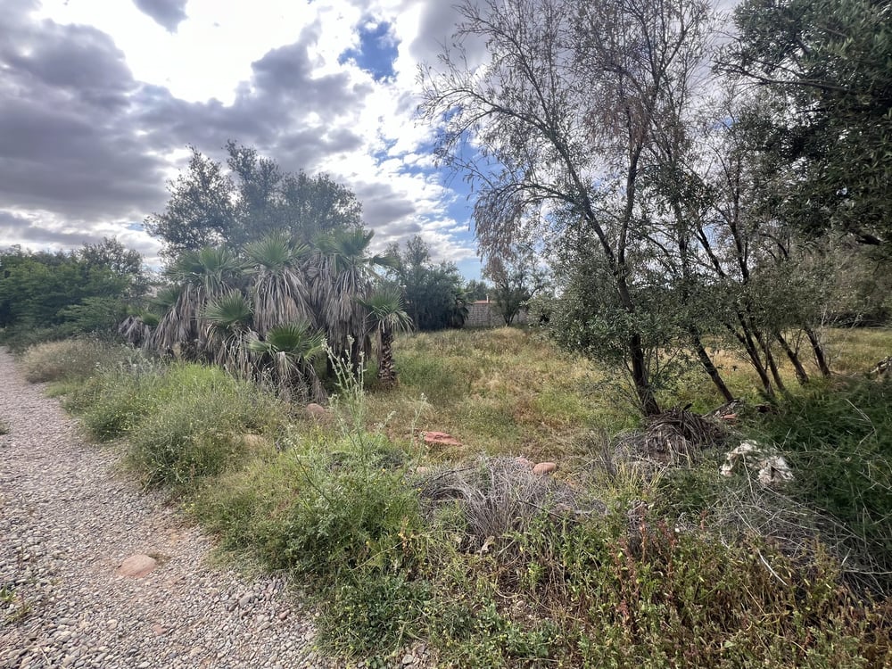 Terrain agricole 8 336 m² à vendre, route Ourika, Marrakech — photo 4