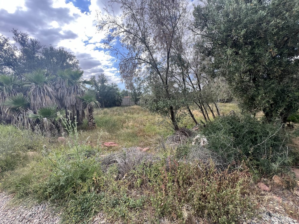 Terrain agricole 8 336 m² à vendre, route Ourika, Marrakech — photo 5