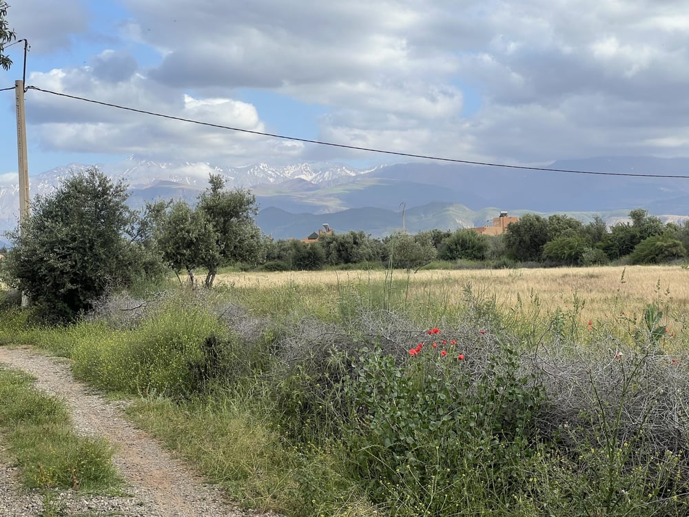 Terrain agricole 8 336 m² à vendre, route Ourika, Marrakech — photo 9