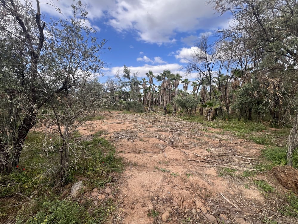 Terrain agricole 8 336 m² à vendre, route Ourika, Marrakech — photo 10