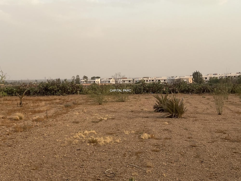 Terrain à vendre Ouahat Sidi Brahim, Marrakech - Zone ZTR — photo 3