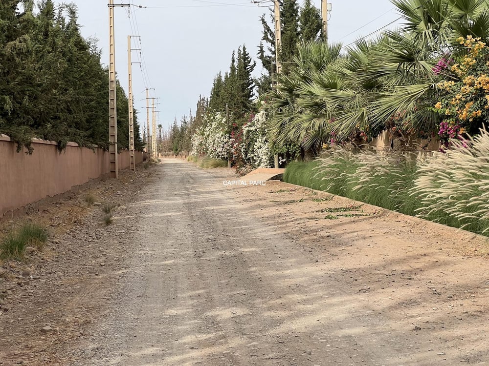 Terrain constructible 2,4 ha à vendre, Route de l'Ourika, Marrakech — photo 4