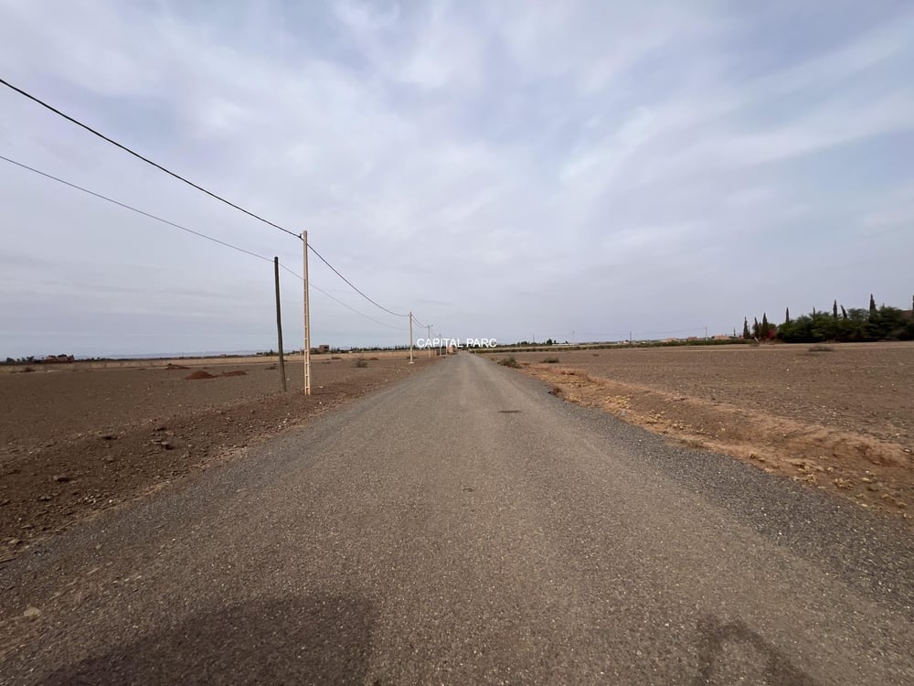 Terrain constructible 2,4 ha à vendre, Route de l'Ourika, Marrakech — photo 5