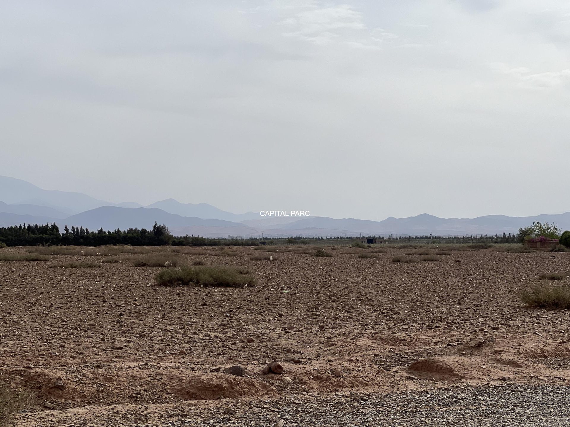 Terrain constructible 2,4 ha à vendre, Route de l'Ourika, Marrakech — miniature 6