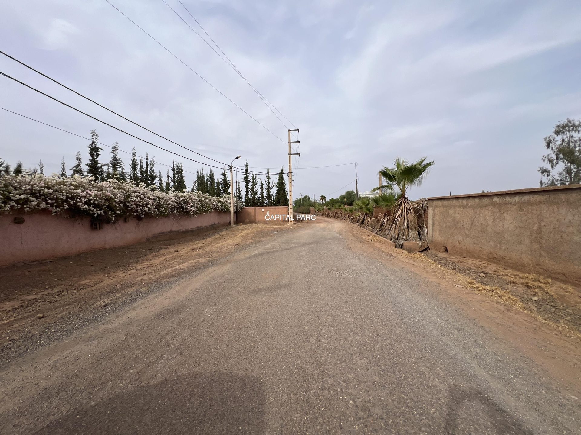 Terrain constructible 2,4 ha à vendre, Route de l'Ourika, Marrakech — miniature 8