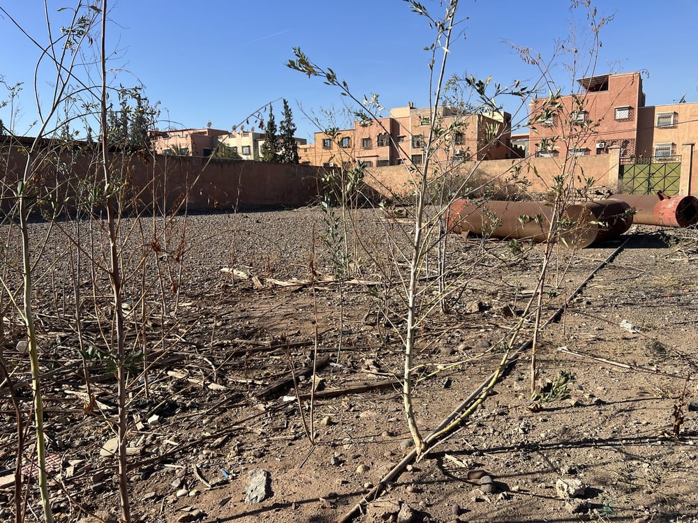 Terrain R+3 à vendre, 5307 m², Azli Marrakech — photo 3