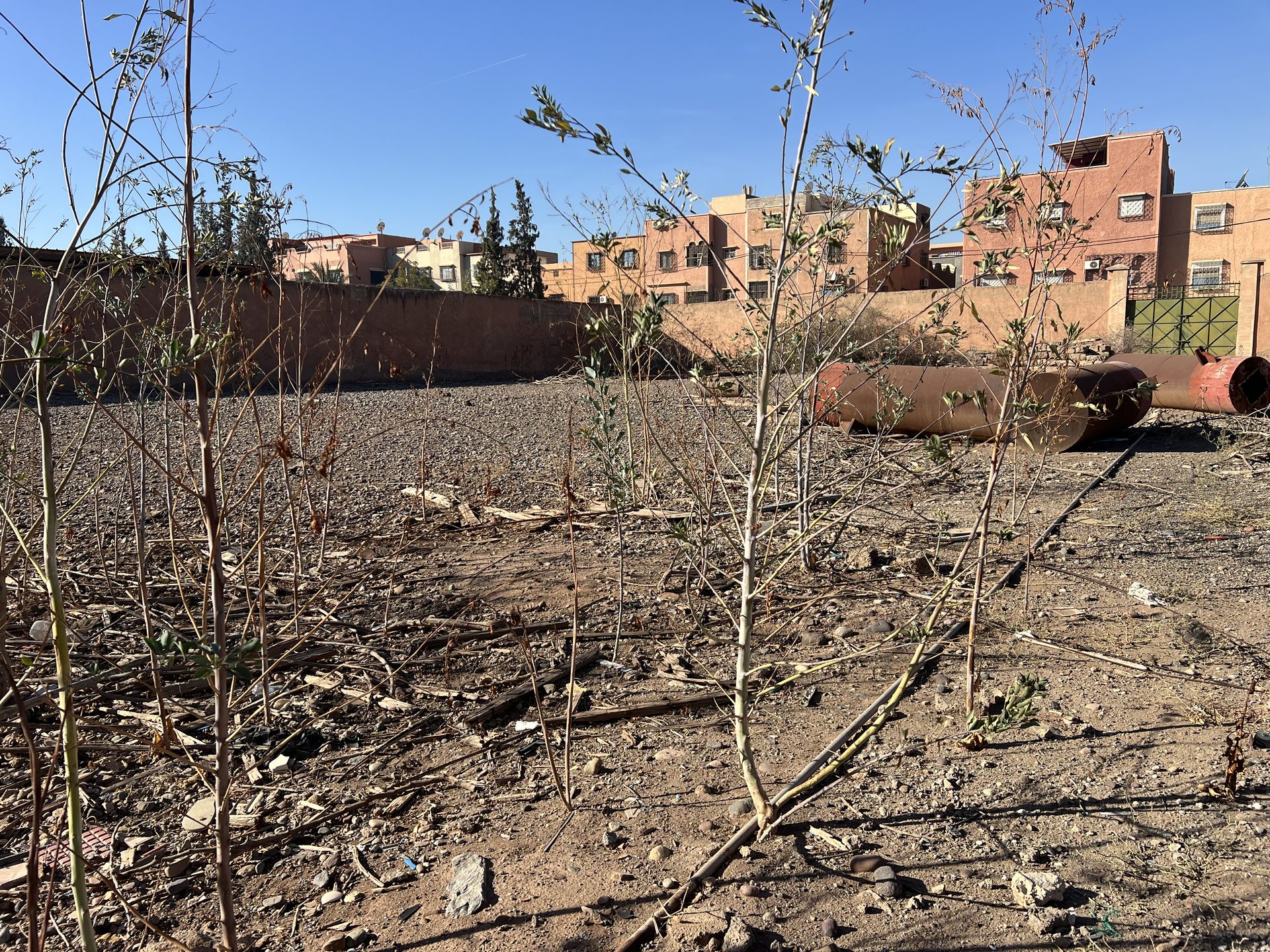 Terrain R+3 à vendre, 5307 m², Azli Marrakech — miniature 3