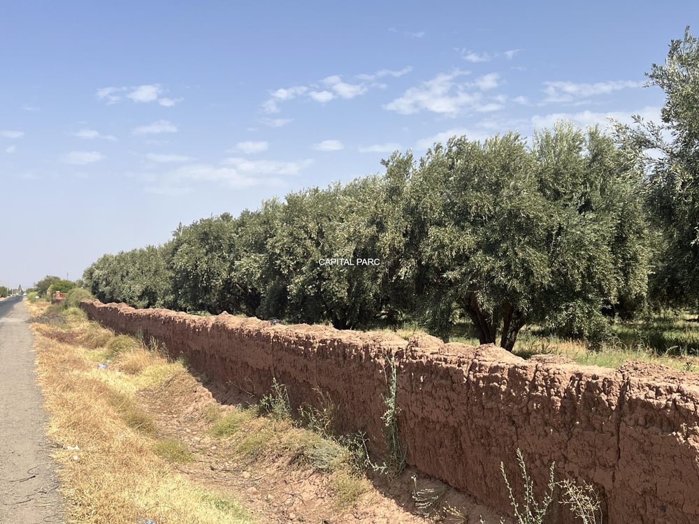 Terrain constructible SA2 4,4 ha à vendre Oulad Hassoun, Marrakech — photo 4