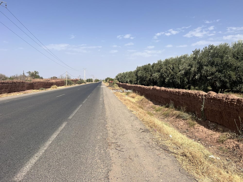 Terrain constructible SA2 4,4 ha à vendre Oulad Hassoun, Marrakech — photo 6