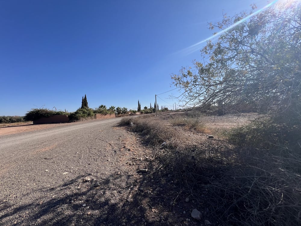 Terrain zone villa D2/D3 à vendre, 4,44 ha, Amizmiz, Marrakech — photo 3