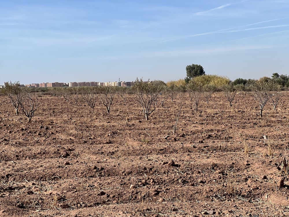 Terrain villa 5,8 ha à vendre, Route Amizmiz, Marrakech — photo 2